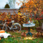 Come pulire Giardino in autunno