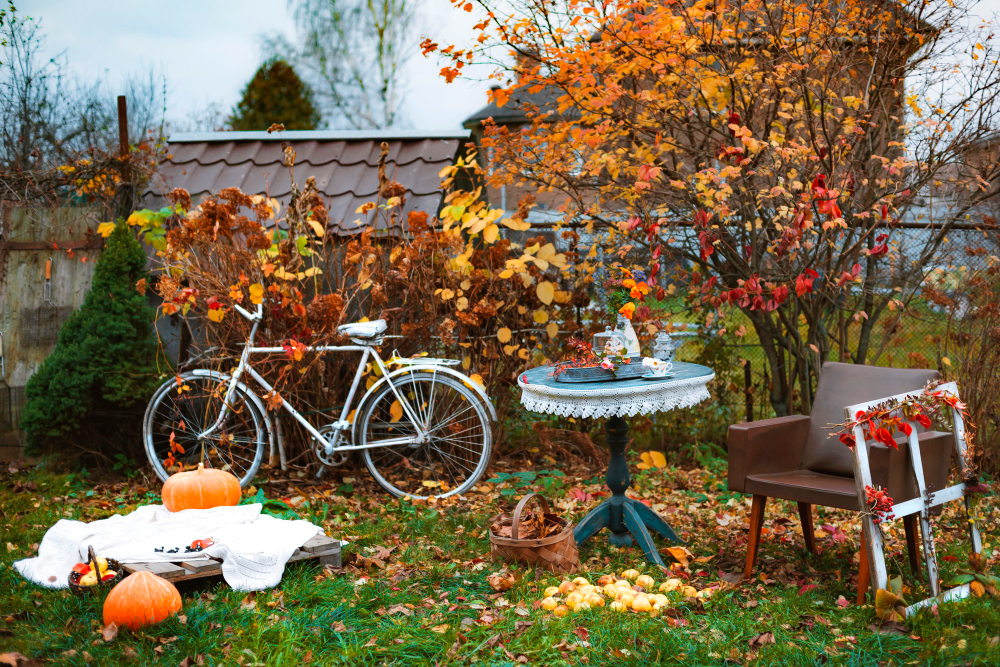 Come pulire Giardino in autunno